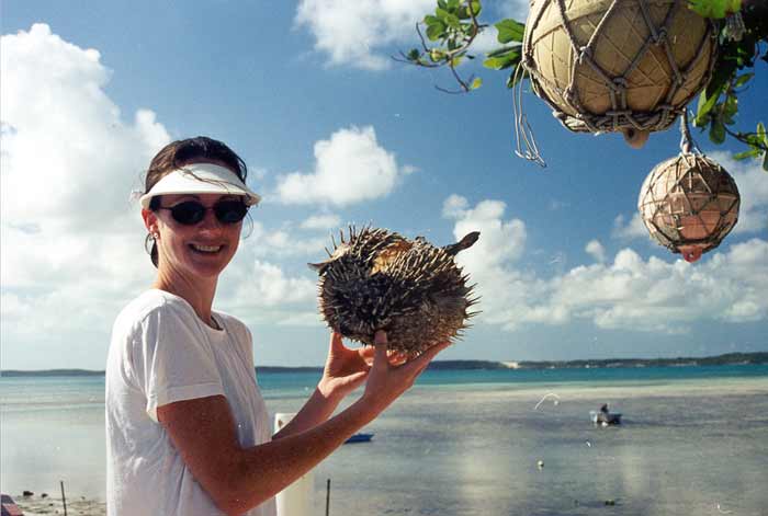 Pufferfish